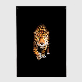 Постер с принтом Ягуар в Курске, 100% бумага
 | бумага, плотность 150 мг. Матовая, но за счет высокого коэффициента гладкости имеет небольшой блеск и дает на свету блики, но в отличии от глянцевой бумаги не покрыта лаком | animal | art | black | cat | hunter | jaguar | leopard | арт | гепард | голова | животное | животные | зверь | клыки | кот | кошка | леопард | охотник | темнота | хищник | ягуар