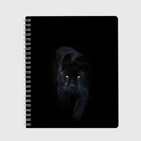 Тетрадь с принтом Пантера в Курске, 100% бумага | 48 листов, плотность листов — 60 г/м2, плотность картонной обложки — 250 г/м2. Листы скреплены сбоку удобной пружинной спиралью. Уголки страниц и обложки скругленные. Цвет линий — светло-серый
 | animal | animals | beast | black | cat | kitten | phanter | животное | животные | зверек | зверь | кот | котики | кошка | кошки | пантера | черная