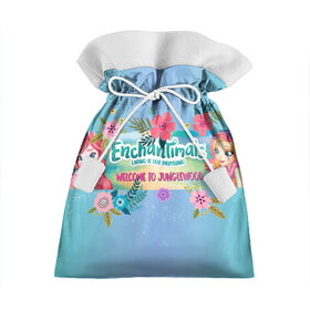Подарочный 3D мешок с принтом Enchantimals в Курске, 100% полиэстер | Размер: 29*39 см | 