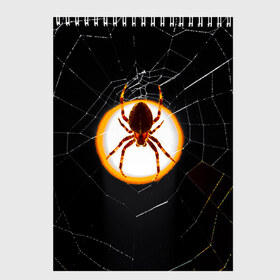 Скетчбук с принтом Spider в Курске, 100% бумага
 | 48 листов, плотность листов — 100 г/м2, плотность картонной обложки — 250 г/м2. Листы скреплены сверху удобной пружинной спиралью | animal | hunter | spider | животное | животные | лапы | охота | охотник | паук | паутина | хищник