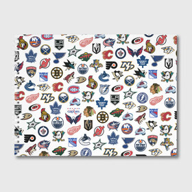 Альбом для рисования с принтом Логотипы НХЛ в Курске, 100% бумага
 | матовая бумага, плотность 200 мг. | capitals | nhl | penguins | pittsburgh | washington | блюз | бостон | брюинз | вашингтон | детройт | кэпиталз | логотипы нхл | нью йорк | пингвинз | питтсбург | рейнджерс | сан хосе шаркс | сент луис | тампа бэй