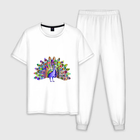 Мужская пижама хлопок с принтом Павлин в Курске, 100% хлопок | брюки и футболка прямого кроя, без карманов, на брюках мягкая резинка на поясе и по низу штанин
 | Тематика изображения на принте: peacock | животные | павлин | птица