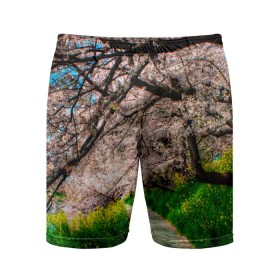 Мужские шорты спортивные с принтом Весна 2020. в Курске,  |  | весенние картинки | весна | весна 2020 | зелнь | прекрасное время года | прикольные картинки | природа | птицы | тюльпаны | цветы