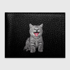 Обложка для студенческого билета с принтом Кричащий кот. в Курске, натуральная кожа | Размер: 11*8 см; Печать на всей внешней стороне | животные | звери | зевающий кот | кися | кот | котенок | котики | коты | кричащий кот | минимализм | питомцы | прикольные картинки