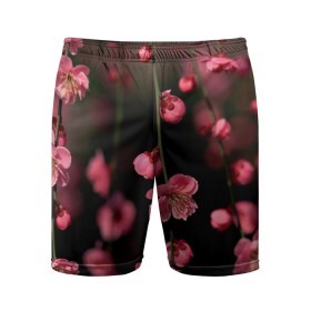 Мужские шорты спортивные с принтом Весна 2020. в Курске,  |  | весенние картинки | весна | весна 2020 | зелнь | прекрасное время года | прикольные картинки | природа | птицы | тюльпаны | цветы