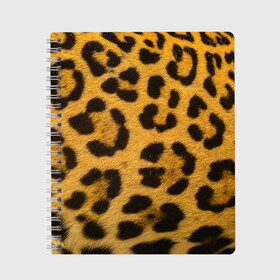 Тетрадь с принтом Леопард в Курске, 100% бумага | 48 листов, плотность листов — 60 г/м2, плотность картонной обложки — 250 г/м2. Листы скреплены сбоку удобной пружинной спиралью. Уголки страниц и обложки скругленные. Цвет линий — светло-серый
 | Тематика изображения на принте: abstract | animal | cat | leopard | texture | абстракция | гепард | животное | животные | зверь | кот | кошка | леопард | охотник | паттерн | полигоны | текстура | узор | хищник