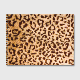 Альбом для рисования с принтом Леопард в Курске, 100% бумага
 | матовая бумага, плотность 200 мг. | Тематика изображения на принте: abstract | animal | cat | leopard | texture | абстракция | гепард | животное | животные | зверь | кот | кошка | леопард | охотник | паттерн | полигоны | текстура | узор | хищник