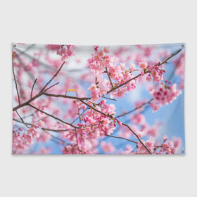 Флаг-баннер с принтом Ветки Сакуры в Курске, 100% полиэстер | размер 67 х 109 см, плотность ткани — 95 г/м2; по краям флага есть четыре люверса для крепления | абрикос | весна | ветки | ветки сакуры | сакура ветки | цветение | цветы