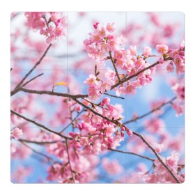 Магнитный плакат 3Х3 с принтом Ветки Сакуры в Курске, Полимерный материал с магнитным слоем | 9 деталей размером 9*9 см | Тематика изображения на принте: абрикос | весна | ветки | ветки сакуры | сакура ветки | цветение | цветы