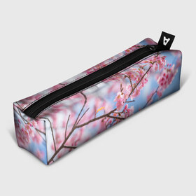 Пенал 3D с принтом Ветки Сакуры в Курске, 100% полиэстер | плотная ткань, застежка на молнии | абрикос | весна | ветки | ветки сакуры | сакура ветки | цветение | цветы