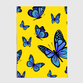 Постер с принтом БАБОЧКИ в Курске, 100% бумага
 | бумага, плотность 150 мг. Матовая, но за счет высокого коэффициента гладкости имеет небольшой блеск и дает на свету блики, но в отличии от глянцевой бумаги не покрыта лаком | animals | blue | butterflies | game | insects | life is strange | moth | wings | бабочки | животные | игра | крылья | мотылек | насекомые