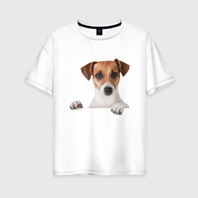 Женская футболка хлопок Oversize с принтом Собака в Курске, 100% хлопок | свободный крой, круглый ворот, спущенный рукав, длина до линии бедер
 | Тематика изображения на принте: джек рассел | друг | пес | питомец | собака