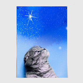 Постер с принтом Кот и космос в Курске, 100% бумага
 | бумага, плотность 150 мг. Матовая, но за счет высокого коэффициента гладкости имеет небольшой блеск и дает на свету блики, но в отличии от глянцевой бумаги не покрыта лаком | cat | cat and space | kitty | в космосе | звездное небо | звёзды | космический кот | кот | кот в космосе | кот и звезды | кот смотрит | кот смотрит на небо | котенок | котик | кошка