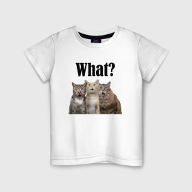 Детская футболка хлопок с принтом Удивленные кошки в Курске, 100% хлопок | круглый вырез горловины, полуприлегающий силуэт, длина до линии бедер | веселые | котенок | котики | кошка | кошки | трио | удивление | удивленные