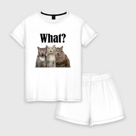 Женская пижама с шортиками хлопок с принтом Удивленные кошки в Курске, 100% хлопок | футболка прямого кроя, шорты свободные с широкой мягкой резинкой | веселые | котенок | котики | кошка | кошки | трио | удивление | удивленные