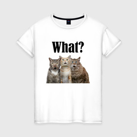 Женская футболка хлопок с принтом Удивленные кошки в Курске, 100% хлопок | прямой крой, круглый вырез горловины, длина до линии бедер, слегка спущенное плечо | веселые | котенок | котики | кошка | кошки | трио | удивление | удивленные