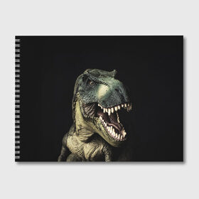 Альбом для рисования с принтом Динозавр T-Rex в Курске, 100% бумага
 | матовая бумага, плотность 200 мг. | Тематика изображения на принте: dino | dinosauria | t rex | ti rex | дино | динозавр | парк юрского | т рекс | ти рекс | чудовище | юрский период | ящер | ящерица