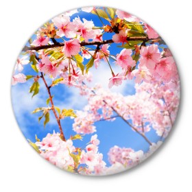 Значок с принтом Сакура в Курске,  металл | круглая форма, металлическая застежка в виде булавки | Тематика изображения на принте: весна | красота | небо | отдых | отпуск | природа | сакура | солнце | тепло | цветок | цветы