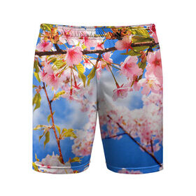 Мужские шорты спортивные с принтом Сакура в Курске,  |  | весна | красота | небо | отдых | отпуск | природа | сакура | солнце | тепло | цветок | цветы