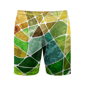 Мужские шорты спортивные с принтом Мозаика в Курске,  |  | бирюзовый | зелёный | мозаика | синий | стекло