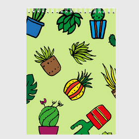 Скетчбук с принтом Кактусы в Курске, 100% бумага
 | 48 листов, плотность листов — 100 г/м2, плотность картонной обложки — 250 г/м2. Листы скреплены сверху удобной пружинной спиралью | кактус | листья | монстера | растения | суккуленты