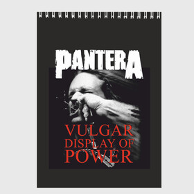 Скетчбук с принтом PANTERA VULGAR OF POWER в Курске, 100% бумага
 | 48 листов, плотность листов — 100 г/м2, плотность картонной обложки — 250 г/м2. Листы скреплены сверху удобной пружинной спиралью | Тематика изображения на принте: pantera vulgar display of power | rock | вульгарный альбом | музыка | пантера | рок группа