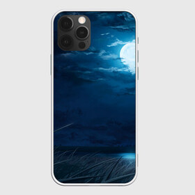 Чехол для iPhone 12 Pro Max с принтом Ночное поле в Курске, Силикон |  | Тематика изображения на принте: луна | небо | ночь | облака | поле