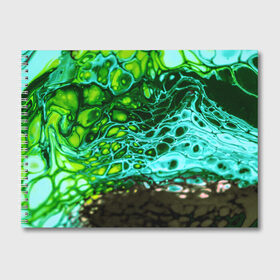 Альбом для рисования с принтом Кислотные разводы краски в Курске, 100% бумага
 | матовая бумага, плотность 200 мг. | doodling | pattern | textures | tiles | абстракция | бирюзовый | градиент | детали | дудлинг | зеленый | капли | кислота | кляксы | коллаж | коричневый | краска | микс | паттерны | полоски | пятна | салатный | смесь