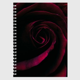 Тетрадь с принтом Dark Rose в Курске, 100% бумага | 48 листов, плотность листов — 60 г/м2, плотность картонной обложки — 250 г/м2. Листы скреплены сбоку удобной пружинной спиралью. Уголки страниц и обложки скругленные. Цвет линий — светло-серый
 | art | dark | flower | red | rose | арт | бутон | лепестки | роза | текстура | темный | цветы