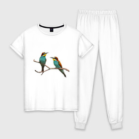 Женская пижама хлопок с принтом Птицы в Курске, 100% хлопок | брюки и футболка прямого кроя, без карманов, на брюках мягкая резинка на поясе и по низу штанин | две птицы | птицы на ветке | щурки золотистые