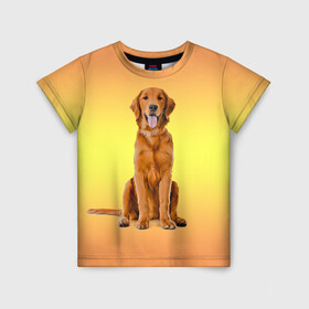 Детская футболка 3D с принтом Золотистый ретривер в Курске, 100% гипоаллергенный полиэфир | прямой крой, круглый вырез горловины, длина до линии бедер, чуть спущенное плечо, ткань немного тянется | домашние любимцы | животные | золотистый ретривер | собака