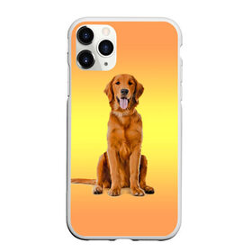 Чехол для iPhone 11 Pro Max матовый с принтом Золотистый ретривер в Курске, Силикон |  | домашние любимцы | животные | золотистый ретривер | собака