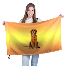 Флаг 3D с принтом Золотистый ретривер в Курске, 100% полиэстер | плотность ткани — 95 г/м2, размер — 67 х 109 см. Принт наносится с одной стороны | домашние любимцы | животные | золотистый ретривер | собака