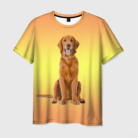 Мужская футболка 3D с принтом Золотистый ретривер в Курске, 100% полиэфир | прямой крой, круглый вырез горловины, длина до линии бедер | домашние любимцы | животные | золотистый ретривер | собака