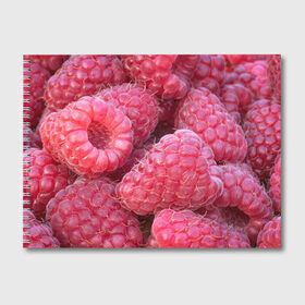 Альбом для рисования с принтом Очень много малины в Курске, 100% бумага
 | матовая бумага, плотность 200 мг. | плоды | ягоды