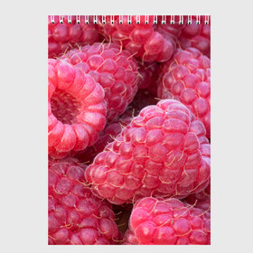 Скетчбук с принтом Очень много малины в Курске, 100% бумага
 | 48 листов, плотность листов — 100 г/м2, плотность картонной обложки — 250 г/м2. Листы скреплены сверху удобной пружинной спиралью | плоды | ягоды