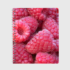 Тетрадь с принтом Очень много малины в Курске, 100% бумага | 48 листов, плотность листов — 60 г/м2, плотность картонной обложки — 250 г/м2. Листы скреплены сбоку удобной пружинной спиралью. Уголки страниц и обложки скругленные. Цвет линий — светло-серый
 | плоды | ягоды