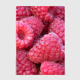 Постер с принтом Очень много малины в Курске, 100% бумага
 | бумага, плотность 150 мг. Матовая, но за счет высокого коэффициента гладкости имеет небольшой блеск и дает на свету блики, но в отличии от глянцевой бумаги не покрыта лаком | плоды | ягоды