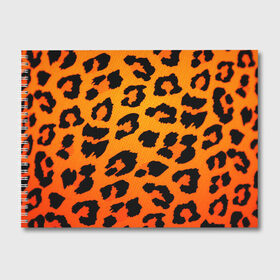 Альбом для рисования с принтом JAGUAR GOLD в Курске, 100% бумага
 | матовая бумага, плотность 200 мг. | Тематика изображения на принте: cat | jaguar | leopard | yaguar | дикая кошка | животные | кошка | леопард | пятна животного | текстура | шерсть | ягуар