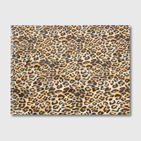Альбом для рисования с принтом АФРИКАНСКИЙ ЛЕОПАРД в Курске, 100% бумага
 | матовая бумага, плотность 200 мг. | Тематика изображения на принте: cat | jaguar | leopard | yaguar | дикая кошка | животные | кошка | леопард | пятна животного | текстура | шерсть | ягуар