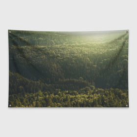 Флаг-баннер с принтом Летний лес в Курске, 100% полиэстер | размер 67 х 109 см, плотность ткани — 95 г/м2; по краям флага есть четыре люверса для крепления | дерево | деревья | зеленый | лес | лето | небо | облако | солнце | темный | ярко