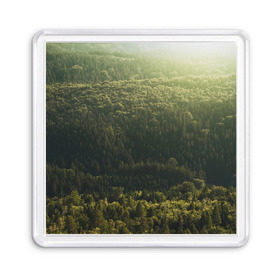 Магнит 55*55 с принтом Летний лес в Курске, Пластик | Размер: 65*65 мм; Размер печати: 55*55 мм | дерево | деревья | зеленый | лес | лето | небо | облако | солнце | темный | ярко