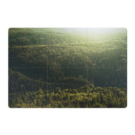 Магнитный плакат 3Х2 с принтом Летний лес в Курске, Полимерный материал с магнитным слоем | 6 деталей размером 9*9 см | дерево | деревья | зеленый | лес | лето | небо | облако | солнце | темный | ярко