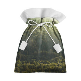 Подарочный 3D мешок с принтом Летний лес в Курске, 100% полиэстер | Размер: 29*39 см | дерево | деревья | зеленый | лес | лето | небо | облако | солнце | темный | ярко