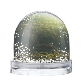 Снежный шар с принтом Летний лес в Курске, Пластик | Изображение внутри шара печатается на глянцевой фотобумаге с двух сторон | дерево | деревья | зеленый | лес | лето | небо | облако | солнце | темный | ярко