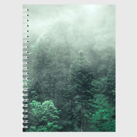 Тетрадь с принтом Туманный лес в Курске, 100% бумага | 48 листов, плотность листов — 60 г/м2, плотность картонной обложки — 250 г/м2. Листы скреплены сбоку удобной пружинной спиралью. Уголки страниц и обложки скругленные. Цвет линий — светло-серый
 | Тематика изображения на принте: дерево | деревья | зеленый | лес | облака | облако | снег | темный