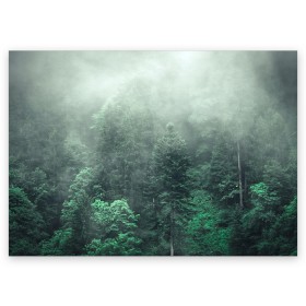 Поздравительная открытка с принтом Туманный лес в Курске, 100% бумага | плотность бумаги 280 г/м2, матовая, на обратной стороне линовка и место для марки
 | Тематика изображения на принте: дерево | деревья | зеленый | лес | облака | облако | снег | темный