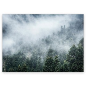 Поздравительная открытка с принтом Туманный лес в Курске, 100% бумага | плотность бумаги 280 г/м2, матовая, на обратной стороне линовка и место для марки
 | белый | зеленый | лес | облака | облако | природа | темный | туман