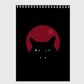 Скетчбук с принтом Vampire Cat в Курске, 100% бумага
 | 48 листов, плотность листов — 100 г/м2, плотность картонной обложки — 250 г/м2. Листы скреплены сверху удобной пружинной спиралью | art | cat | red moon | vampire | арт | вампир | животные | картинка | кот | котик | кошка | красная луна | рисунок