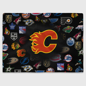 Плед 3D с принтом Calgary Flames (Z) в Курске, 100% полиэстер | закругленные углы, все края обработаны. Ткань не мнется и не растягивается | anaheim ducks | arizona coyotes | boston bruins | buffalo sabres | calgary flames | canadiens de montreal | carolina hurricanes | chicago blackhawks | colorado avalanche | columbus blue jackets | dallas stars | detroit red wings | edmonton oil | hockey | 